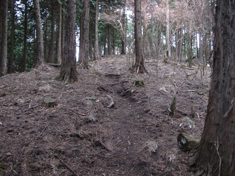 20160121hike (265)